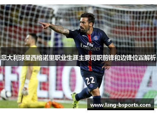 意大利球星西格诺里职业生涯主要司职前锋和边锋位置解析