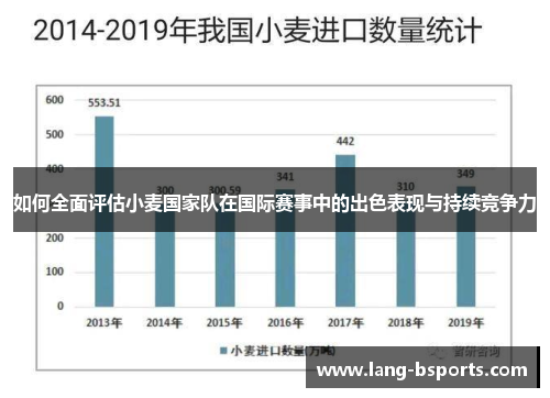 如何全面评估小麦国家队在国际赛事中的出色表现与持续竞争力