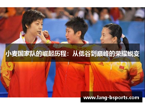 小麦国家队的崛起历程：从低谷到巅峰的荣耀蜕变