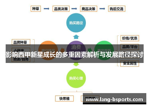 影响西甲新星成长的多重因素解析与发展路径探讨