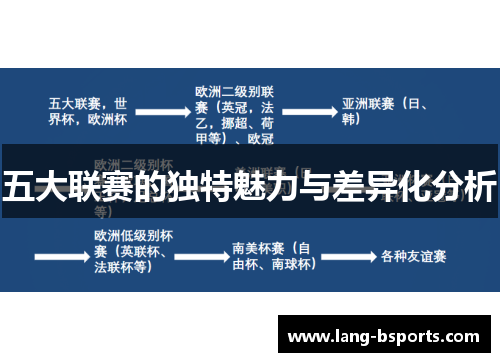 五大联赛的独特魅力与差异化分析