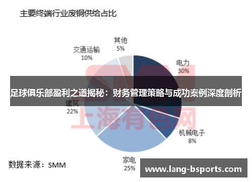 足球俱乐部盈利之道揭秘：财务管理策略与成功案例深度剖析