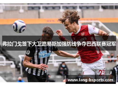 弗拉门戈签下大卫路易斯加强防线争夺巴西联赛冠军